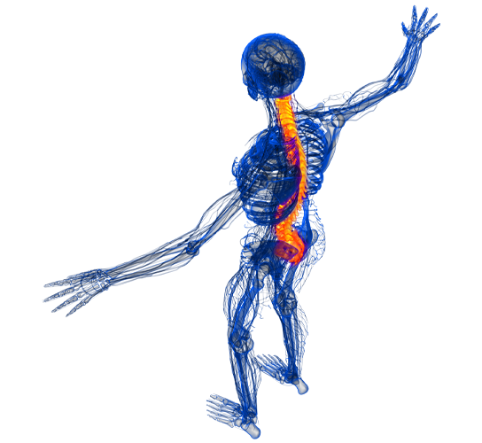 Interventie chirurgicala coloana vertebrala minim invaziva Recuperare rapida postoperatorie operatie coloana vertebrala Medic Primar Ortopedie-Traumatologie Dr. Mihai Magurean